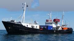 Toulouse Trawler - picture 1