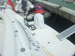 Sea Ray 455 HT - picture 10