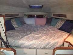 Sea Ray 340 Express Cruiser - picture 5