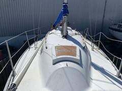 Trapper Yachts 500 - immagine 6