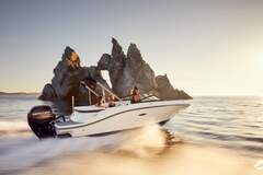 Sea Ray SPX 190 Outboard - picture 1