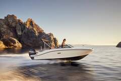 Sea Ray SPX 190 Outboard - picture 2