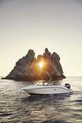 Sea Ray SPX 190 Outboard - fotka 7