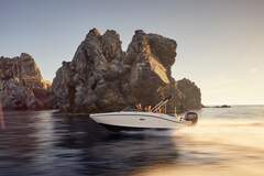 Sea Ray SPX 190 Outboard - picture 6
