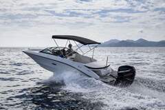 Sea Ray SPX 210 Outboard - фото 1