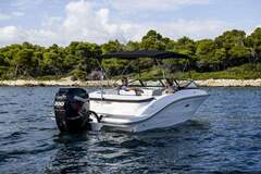Sea Ray SPX 210 Outboard - resim 6