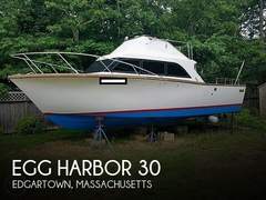 Egg Harbor 30 Sport Fisher - resim 1