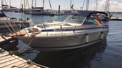 Sea Ray 270 Amberjack - picture 1