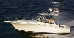 Luhrs 31 Open - image 1
