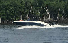 Sea Ray SDX 270 Outboard - picture 1