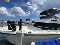 Hatteras Sport Fish Convertible - picture 3