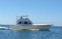 Egg Harbor 54 Convertible - picture 1