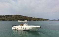 Boston Whaler Outrage 320 - picture 2