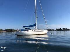 Canadian Sailcraft 36 - picture 5