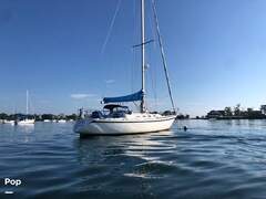 Canadian Sailcraft 36 - picture 6