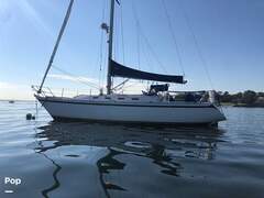 Canadian Sailcraft 36 - picture 8