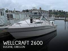 Wellcraft Coastal 2600 - Bild 1