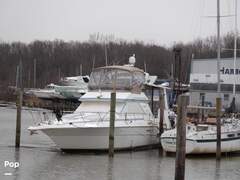 Sea Ray 440 Aft Cabin - picture 2