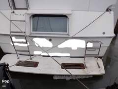 Sea Ray 440 Aft Cabin - picture 5