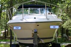 Sea Ray 230 Cuddy Cabin - resim 2