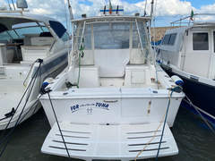 Luhrs 28 - image 1