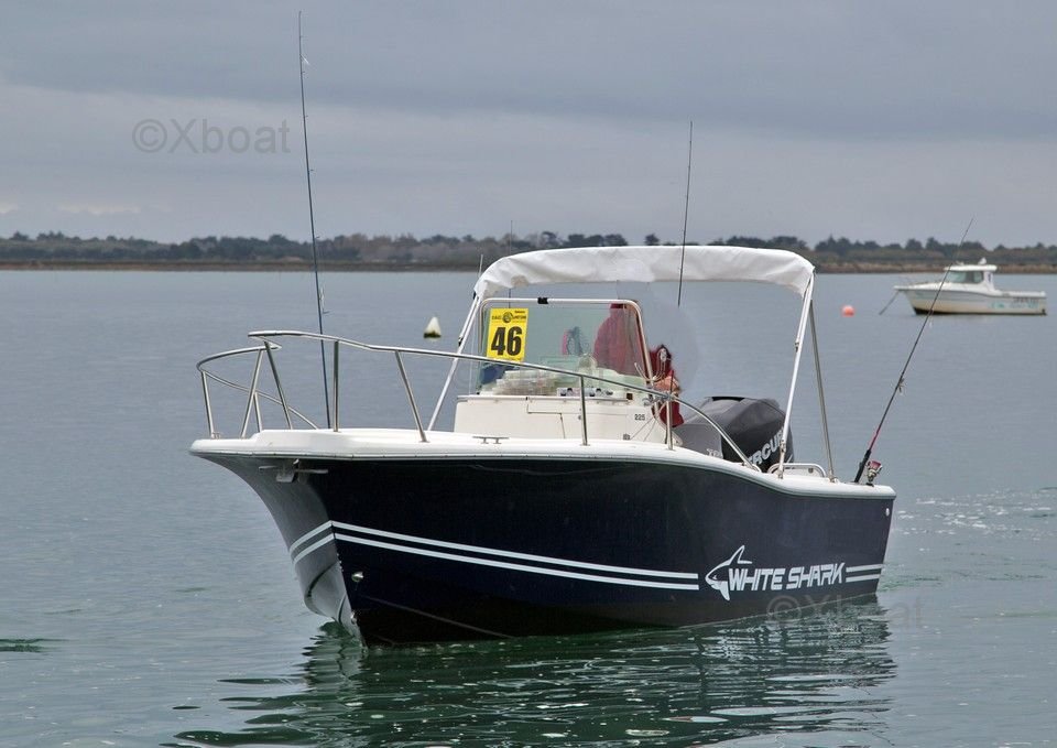 White Shark New Price.WHITE 225 navy Blue hull in