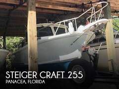 Steiger Craft 255 Chesapeake - image 1
