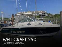 Wellcraft 290 Coastal - fotka 1