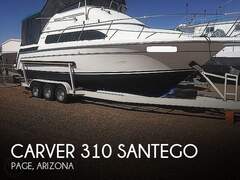 Carver 310 Santego - фото 1