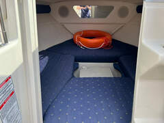 Sea Ray 220 SSE - picture 9