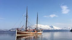 Norvegian Galeas - фото 1