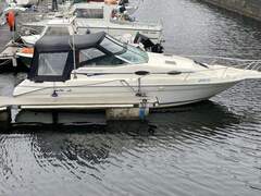 Sea Ray 250 Express - picture 1