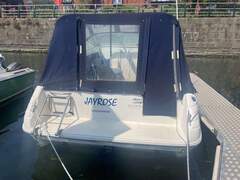 Sea Ray 250 Express - picture 3