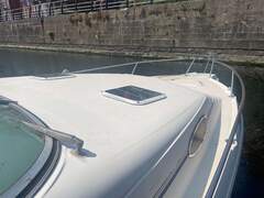 Sea Ray 250 Express - picture 5