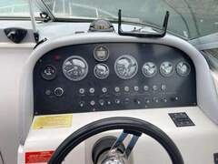 Sea Ray 250 Express - picture 9