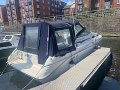 Sea Ray 250 Express - picture 4