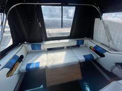 Sea Ray 250 Express - picture 10