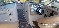 Sea Ray 270 Sundeck - picture 5
