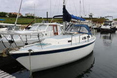 Zeilboot Cal 31 - resim 4