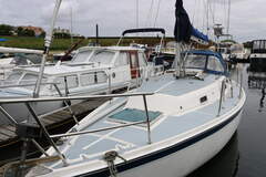 Zeilboot Cal 31 - fotka 7