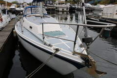 Zeilboot Cal 31 - resim 5