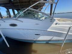 Sea Ray Amberjack 270 - picture 4