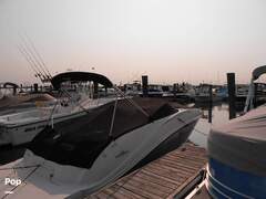 Sea Ray 260 Sundeck - picture 9