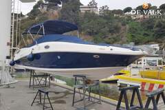 Sea Ray 300 Sundeck - picture 8