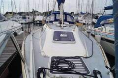 Westerly 31 Tempest - picture 3