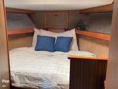 Viking 43 Double Cabin Motoryacht - фото 7