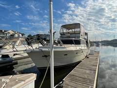 Viking 43 Double Cabin Motoryacht - picture 4