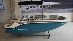 Bayliner Element M15 mit 40 PS Lagerboot - picture 1