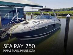 Sea Ray 250 Sundancer - zdjęcie 1