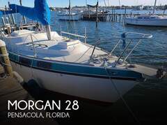 Morgan 28 Out Island - fotka 1
